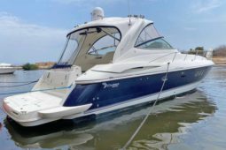 
										CRUISERS YACHTS EXPRESS 46 full									