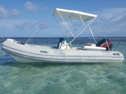 
										DINGHY CARIBE DL 15 full									