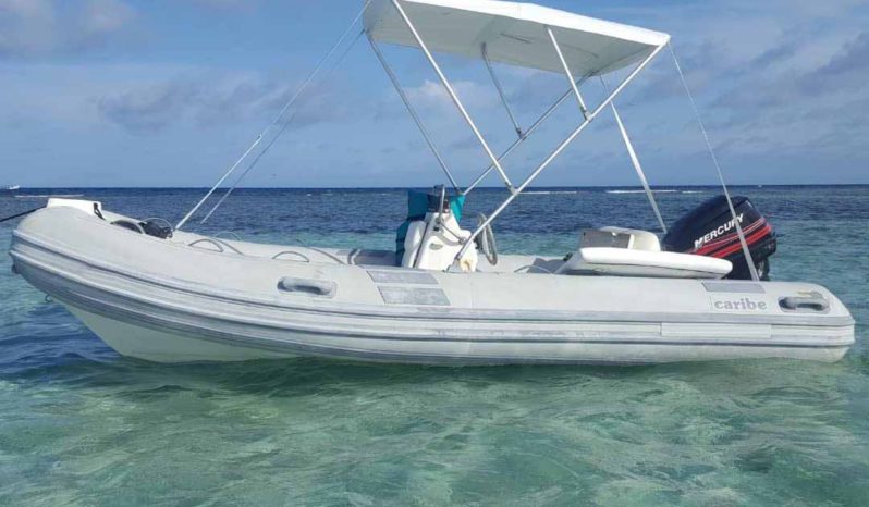 
								DINGHY CARIBE DL 15 full									