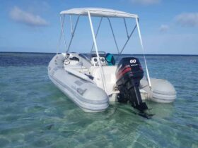 DINGHY CARIBE DL 15