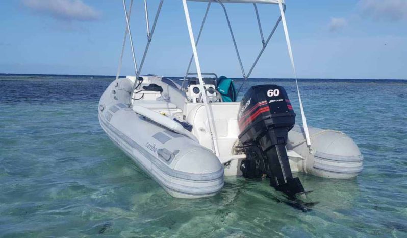 
								DINGHY CARIBE DL 15 full									