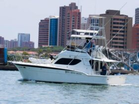 HATTERAS 43