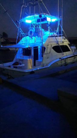 
										HATTERAS 43 full									