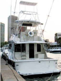 
										HATTERAS 43 full									