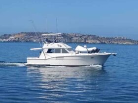 HATTERAS CONVERTIBLE 42