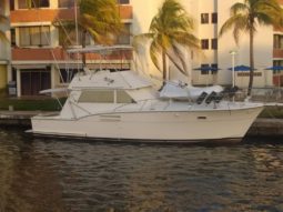 
										HATTERAS CONVERTIBLE 42 full									