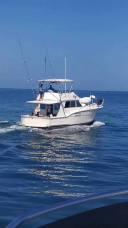 
										HATTERAS CONVERTIBLE 42 full									