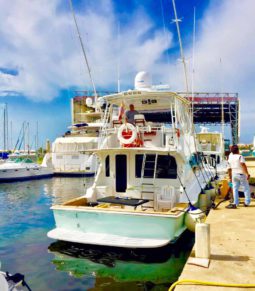 
										HATTERAS CONVERTIBLE 50 full									