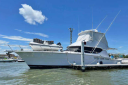 
										HATTERAS CONVERTIBLE 50 full									