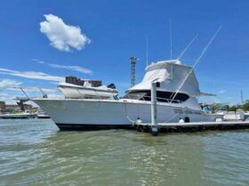 HATTERAS CONVERTIBLE 50