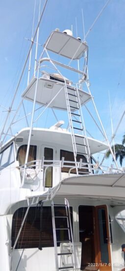 
										HATTERAS CONVERTIBLE 65 full									