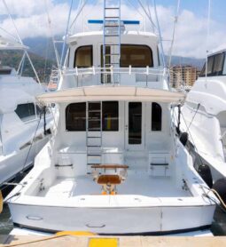 
										HATTERAS CONVERTIBLE 65 full									