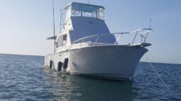 HATTERAS FISHER MOTOR YACHT BOAT CONVERTIBLE 36, VENTA DE HATTERAS FISHER MOTOR YACHT BOAT CONVERTIBLE 36, HATTERAS FISHER MOTOR YACHT BOAT CONVERTIBLE 36 DE LA GUAIRA