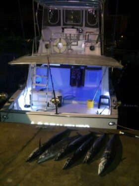 HATTERAS FISHER MOTOR YACHT BOAT CONVERTIBLE 36