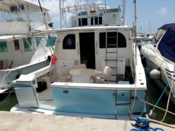 
										HATTERAS SPORT FISHERMAN 42 full									