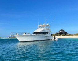 
										HATTERAS SPORT FISHERMAN 50 full									