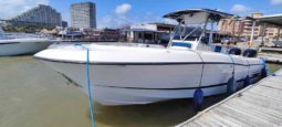 
										HYDRA SPORT 28 full									