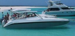 
										INTERMARINE 350 SPORT 35 full									