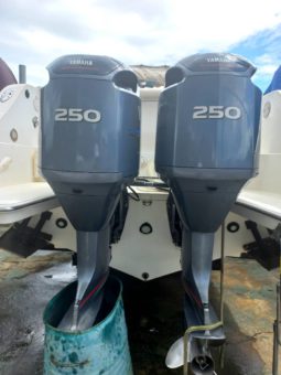 
										INTERMARINE AVANTI 35 full									