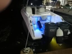 
										INTERMARINE AVANTI 35 full									