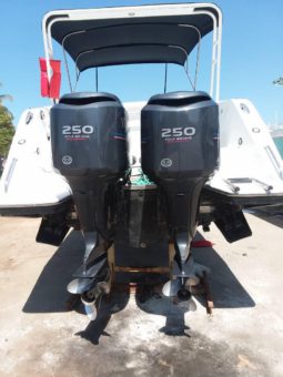 
										INTERMARINE AVANTI 35 full									