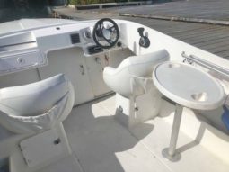 
										INTERMARINE BABY AVANTI 25 full									