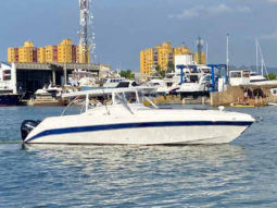 INTERMARINE SPORT 350, VENTA DE INTERMARINE SPORT 350, INTERMARINE SPORT 350 DE LECHERIA