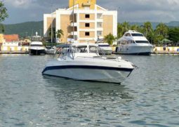 
										INTERMARINE SPORT 350 full									