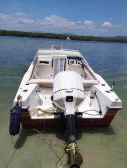 
										INTERMARINE Z24 full									