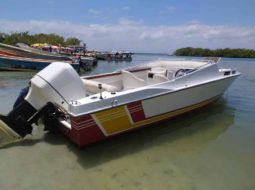 
										INTERMARINE Z24 full									