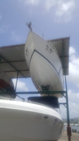 
										INTERMARINE Z29 full									