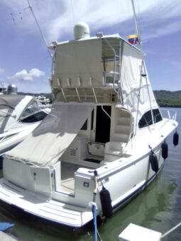 
										LUHRS CONVERTIBLE 35 full									