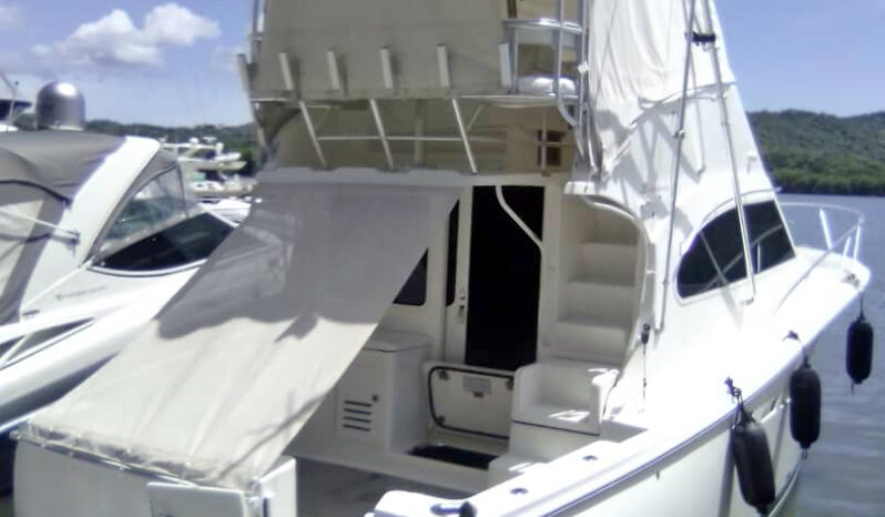 
								LUHRS CONVERTIBLE 35 full									