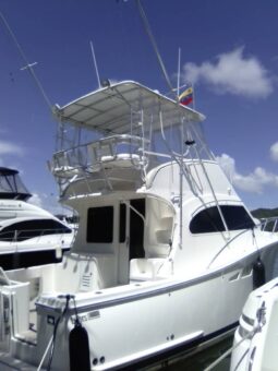 
										LUHRS CONVERTIBLE 35 full									