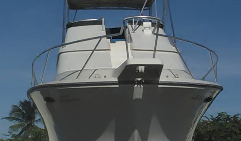 
								LUHRS MOTOR YACHTS 37 full									