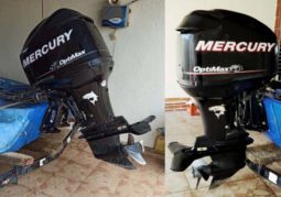 MOTOR MERCURY OPTIMAX 115HP, VENTA DE MOTOR MERCURY OPTIMAX 115HP, MOTOR MERCURY OPTIMAX 115HP DE PTO ORDAZ