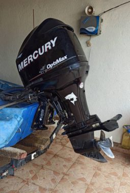 
										MOTOR MERCURY OPTIMAX 115HP full									