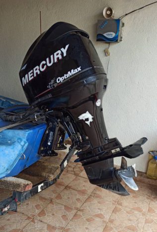 
								MOTOR MERCURY OPTIMAX 115HP full									