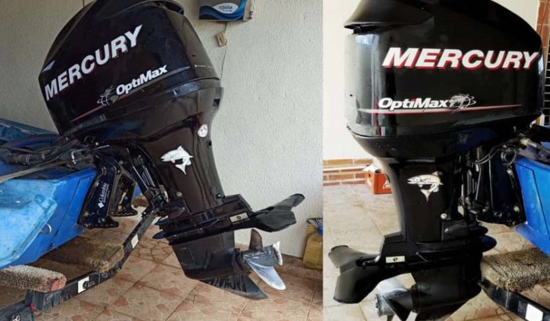 MOTOR MERCURY OPTIMAX 115HP, VENTA DE MOTOR MERCURY OPTIMAX 115HP, MOTOR MERCURY OPTIMAX 115HP DE PTO ORDAZ