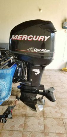 
								MOTOR MERCURY OPTIMAX 115HP full									