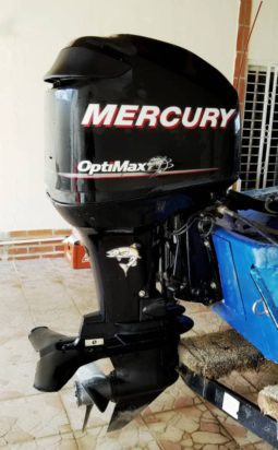 
										MOTOR MERCURY OPTIMAX 115HP full									