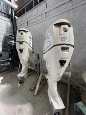 PAREJA MOTORES EVINRUDE 175 HP