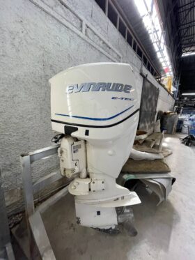 PAREJA MOTORES EVINRUDE 175 HP