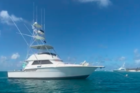 TIARA SPORT FISHERMAN 43