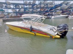 
										PROMARINE 1000SS 33 full									