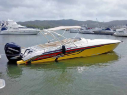 PROMARINE 1000SS 33, VENTA DE PROMARINE 1000SS 33, PROMARINE 1000SS 33 DE HIGUEROTE