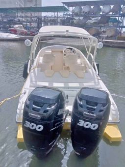 
										PROMARINE 1000SS 33 full									