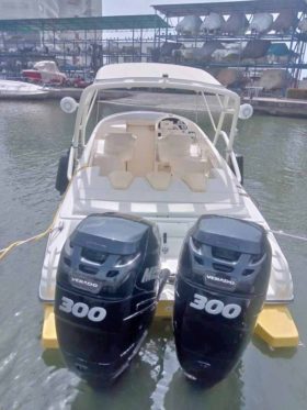 PROMARINE 1000SS 33