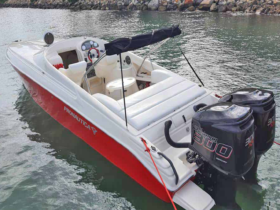 PROMARINE 1000SS 33