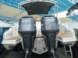 
										PROMARINE EXPRESS 34 full									